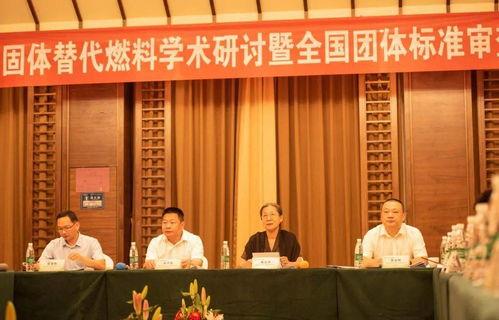 陆河新闻爆料最新情况查询,事件进展及影响全解析